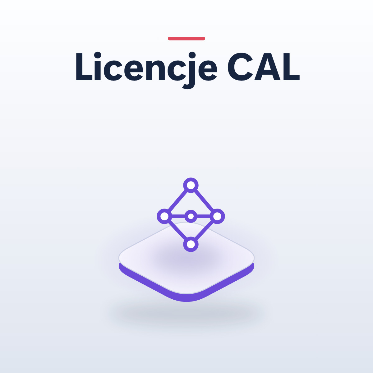 Licencje dostepowe RDS i CAL - grafika kategorii, licencje cyfrowe ESD | licencjapro.pl