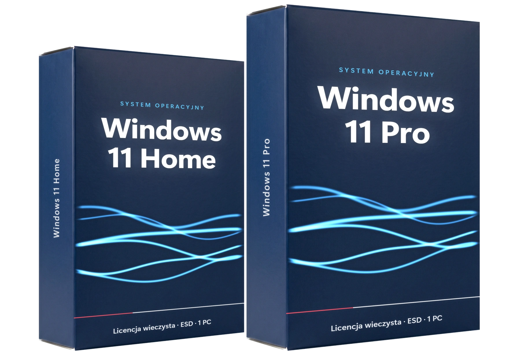 Windows 11 Pro i Windows 11 Home – pudełka z licencjami na własność