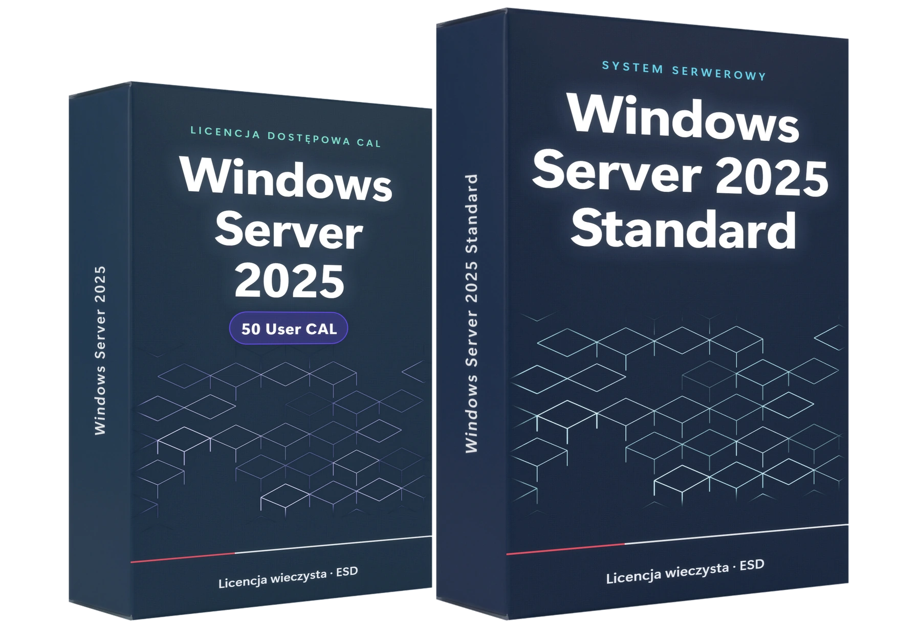 Windows Server 2025 Standard i licencje dostępowe CAL dla firm