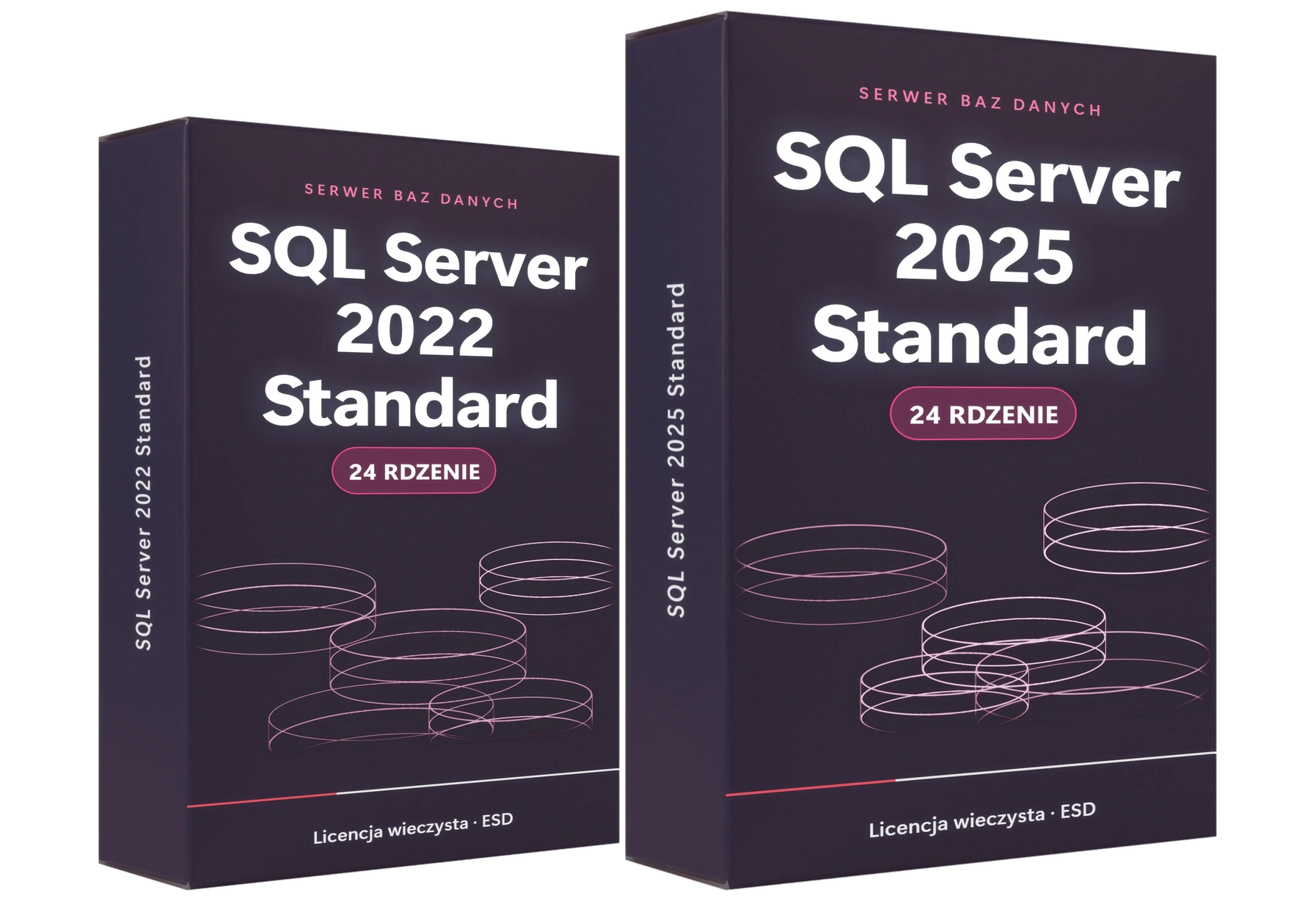 Microsoft SQL Server 2022 Standard i SQL Server 2025 Standard – licencje na rdzenie