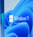 Microsoft Windows 11 Professional - Wieczysta Licencja Cyfrowa ESD - Windows 11 | Licencjapro.pl
